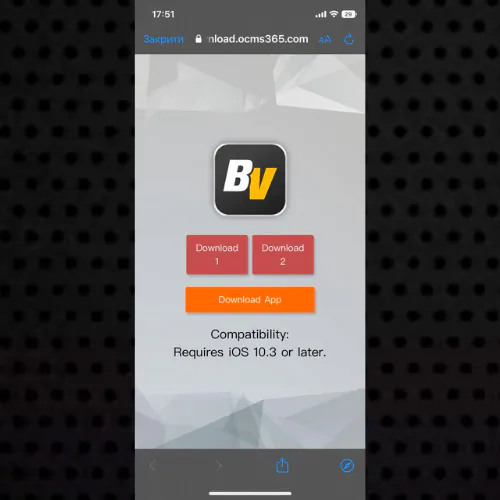 Betvisa app file download on iOS