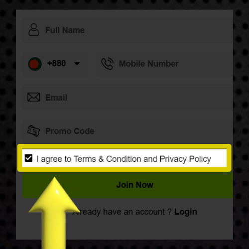 Check the box "Terms and Privacy Policy"